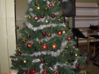 arbre-1273